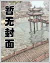高温燃烧管式炉有铜么